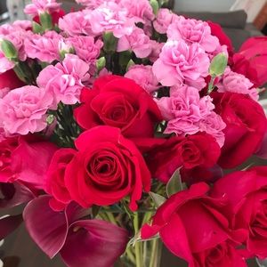 Meet your Posher, Lucia